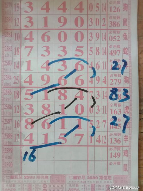 2589期七星彩海南特區(qū) 老馬小雨大師分解規(guī)律圖與信息技術(shù)咨詢服務(wù)解析